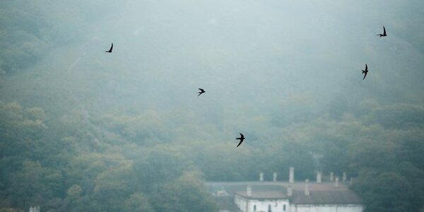 Туман с моросью вернулись на побережье Приморья