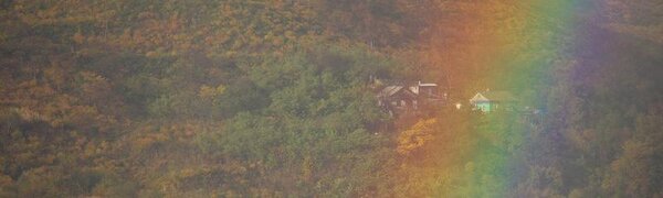 Частые перепады погоды этим летом пообещали в Гидрометцентре России