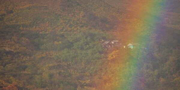 Частые перепады погоды этим летом пообещали в Гидрометцентре России