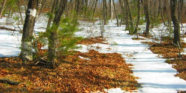 Хорошая погода установилась в Приморье