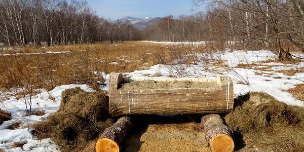 Умеренно теплая погода наблюдается в Приморье