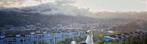 Чем дышал Владивосток с 11 по 20 августа?