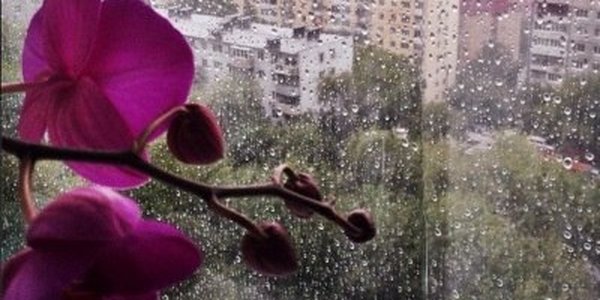 Пятница во Владивостоке: гроза и дождь (ФОТО)