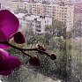 Пятница во Владивостоке: гроза и дождь (ФОТО)