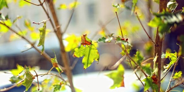 Во Владивостоке завтра станет немного теплее