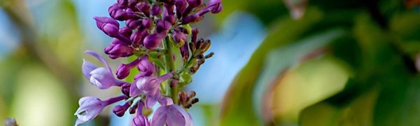 В пятницу в Приморье осадков не ожидается