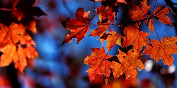 В Приморье пришла очередная волна холода