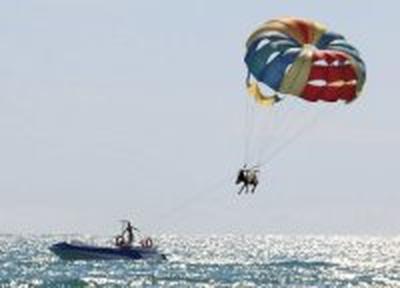 «Кричащий» от ужаса осел летал на парашюте над побережьем