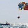 «Кричащий» от ужаса осел летал на парашюте над побережьем