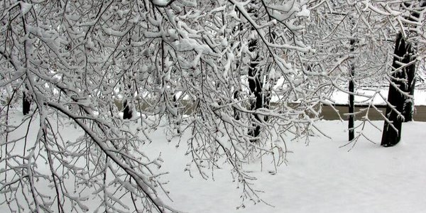 Борис Кубай: Приморье ожидают мокрый снег, метель и штормовой ветер