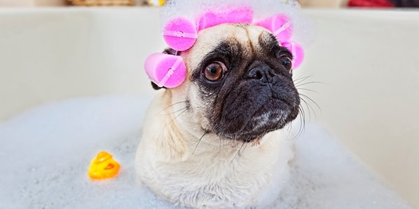 Во Владивостоке продолжается ремонт теплотрасс (адреса)