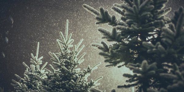 Ночью во Владивостоке выпадет небольшой снег