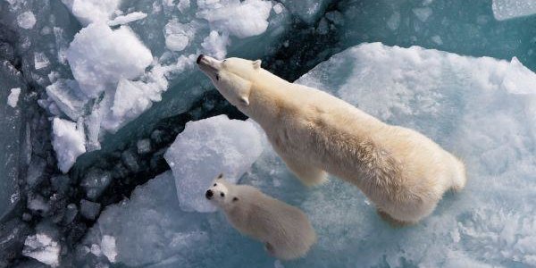 ВМО: 2016 год может стать самым жарким за всю историю