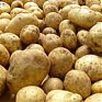 Зараженный картофель из Китая в Приморье не пустили