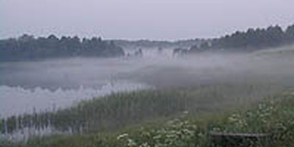 Июль пока не принес погодных изменений в Приморский край