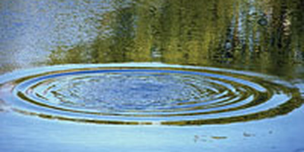 Уровень воды в реках Приморья продолжает расти