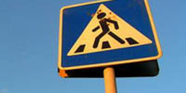 Необычный «пешеход» создал пробку на трассе Владивосток–Хабаровск