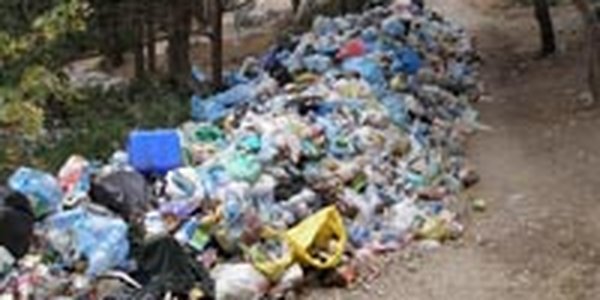 Россияне считают мусор основной угрозой для экологии