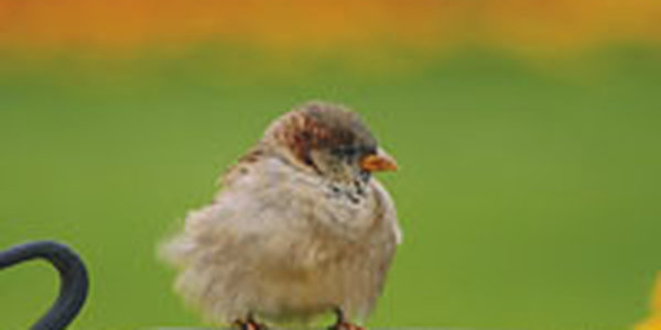 Июнь в Приморском крае выдался прохладным