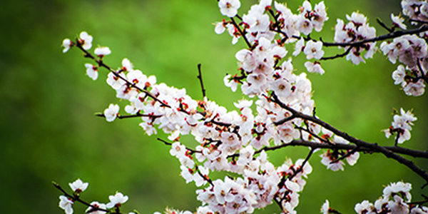 В воскресенье в Приморье будет жарко
