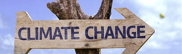 Ученые: замедления глобального потепления не было