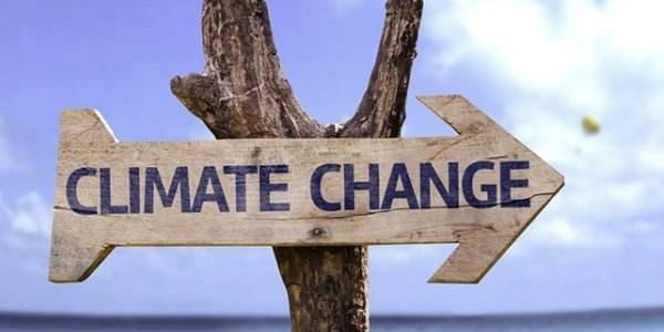 Ученые: замедления глобального потепления не было