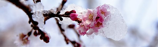 Холодный циклон возвратил зиму в Китай