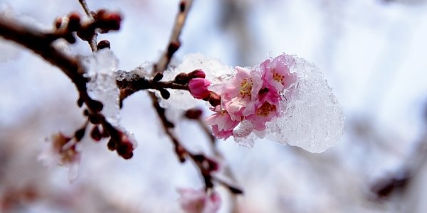 Холодный циклон возвратил зиму в Китай