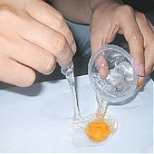 Небьющиеся яйца - новая разработка китайского ученого
