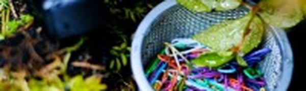 Впусти природу в офис