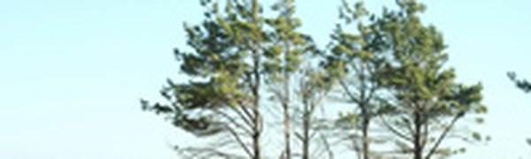 Выходные дни вернут тепло в Приморье