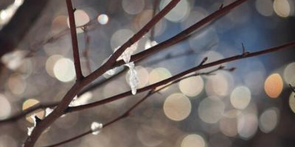 В пятницу в Приморье начнет холодать