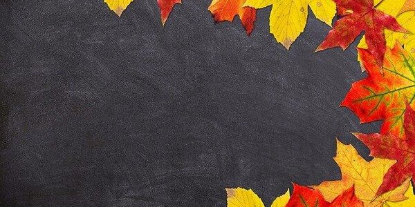 Каникулы во всех муниципальных школах Владивостока продлены до 14 ноября