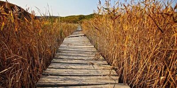 Температура воздуха в Приморье выше нормы на 1 — 6 градусов