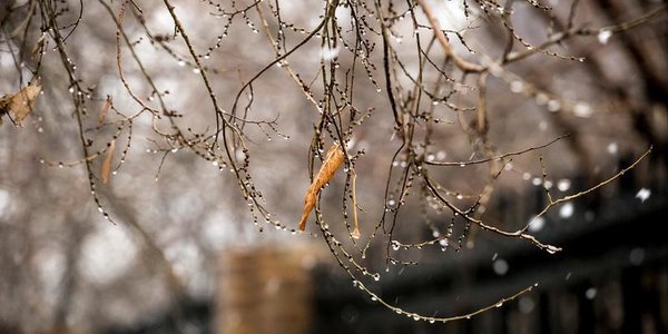 Завтра в Приморье станет теплее, затем пройдут осадки и похолодает