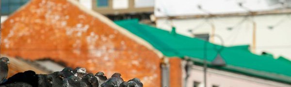 Выходные во Владивостоке будут солнечными, но холодными