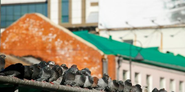 Выходные во Владивостоке будут солнечными, но холодными