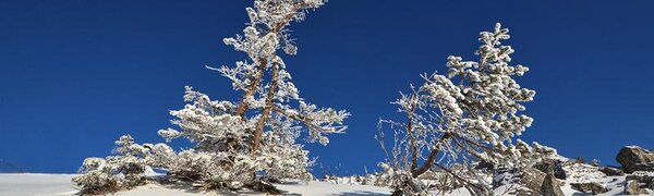 Умеренно морозная погода установилась в Приморье