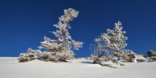 Умеренно морозная погода установилась в Приморье
