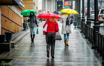 Капризная погода в Приморье предвещает дожди и похолодание в середине недели
