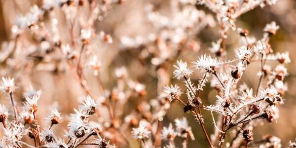 Ноябрь удивил жителей Приморья разнообразием погоды