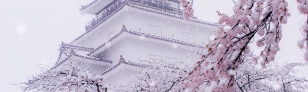 В Токио цветущую сакуру засыпало снегом