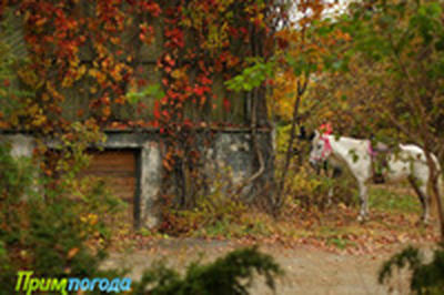 В первые дни осени погода в Приморье будет неустойчивой