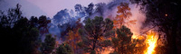 Тайфун BOLAVEN помог потушить все природные пожары в Хабаровском крае