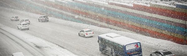 Более 20 междугородних автобусов из Владивостока отменили из-за снегопада