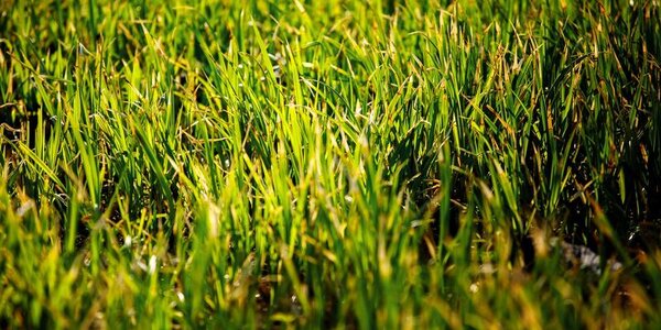 То дождь, то солнце: всё о погоде в Приморье на выходных