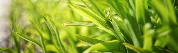 Почти летние температуры установились в Приморье