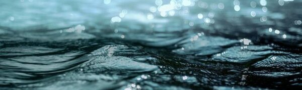 Спад уровня воды будет на реках Приморья в ближайшие трое суток