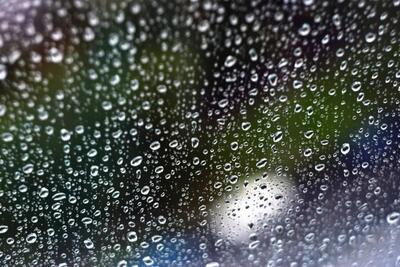 Дождливая погода ожидается в Приморье в среду