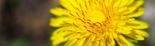 До +28°С прогреется воздух в Приморье в четверг